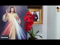 Download Lagu TERÇO DA MISERICÓRDIA