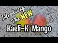 Download Lagu Introducing the 'Kaeli-K' Mango!!