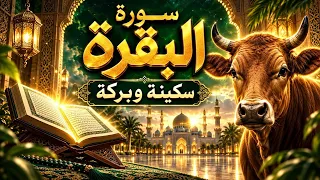 سورة البقرة كاملة لطرد الشياطين والجن وجلب الرزق والبركة | تحصين البيت والمحل 🎧