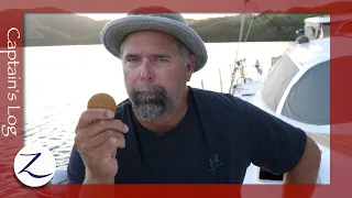 Regrets, Fears, and Defining Moments (Sailing Zatara Q&A)