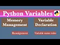 Variables in Python with memory management