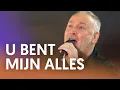 Download Lagu U bent mijn alles - Nederland Zingt