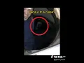 Download Lagu Coisas assustadoras escondidas em fotos 😱😨😳