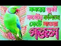 Download Lagu কবরের খুবই কষ্টের গজল | শুনলে অন্তর ফেটে যায় | Very Heart Touching Gojol | Islamic Bangla Gojol