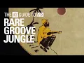 Lagu Rare Groove Inspired Jungle Mix【 THE NTS GUIDE TO… 】