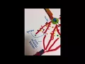 Candy Neurons by Audrey Cain and Megan DiPietro