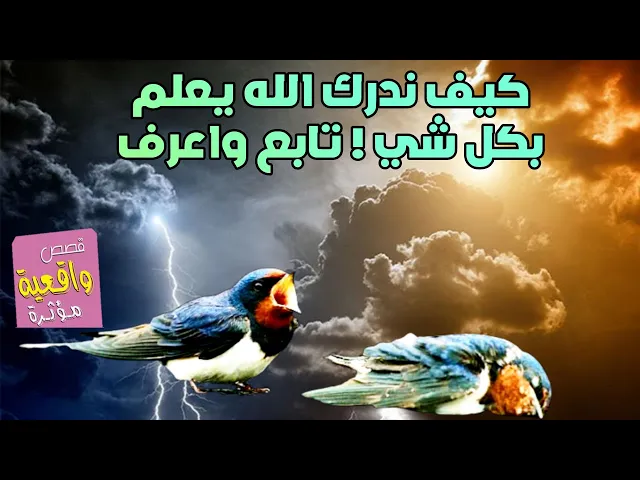 ⁣كيف ندرك ان الله يعلم كل شي ! تابع واعرف بالدليل والتفصيل