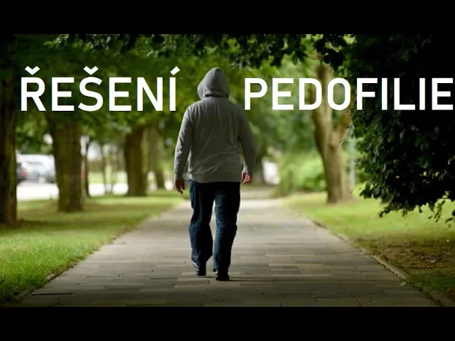 Debatní deník