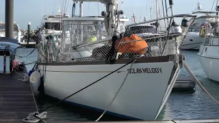 Is this LEGAL? A COMPLETELY different way to travel the world?