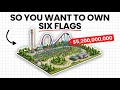 The Economics of Owning Six Flags