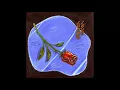 Michael Seyer - Lucky Love