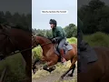 Download Lagu Mocha IS speed! #horse #horses #horseriding #horsegirl #riding #equestrian #pony #horsey #horsefan