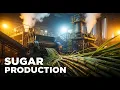 Lagu “Sugar Production Step by Step | Sugar Mill Documentary”
