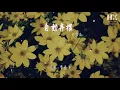 符家浚 - 自動棄權 (放手版)『我照鏡子也很擔憂 太好東西無力佔有』【動態歌詞Lyrics】