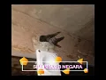 Download Lagu SUARA PANGGIL WALET SP. LINTAS 3 NEGARA MP3 SILAHKAN SEDOT DAN MUDAHAN RESPON DI TEMPAT ANDA