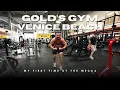 Lagu my first time at The Mecca Gold's Gym Venice!
