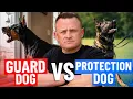 Do You REALLY Need a 150 000 Protection Dog