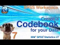 The SPSS 27 Data Codebook - Statistics with SPSS for Beginners with Puppies 7 of 8