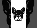 Download Lagu Baby Sensory - Black \u0026 White Flashcards - French Bulldog Theme - Portrait Phone