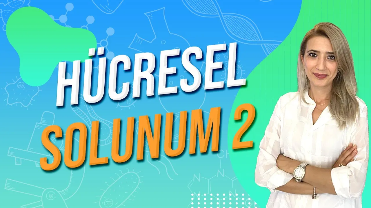 HÜCRESEL SOLUNUM 2 | Seda Hoca Biyoloji 🧬#ayt2024