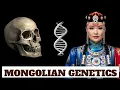 Download Lagu Scientists Reveal Surprising Origins of Mongolian DNA