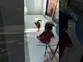 Download Lagu Ketika Mama Ara Kaget Dedek Lg Tidur Hilang Dri Kasur. Bangun Langsung Main Sm Anjing Tetangga 🐕🤦‍♀️