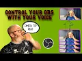 Control Your OBS with Voice Commands