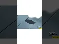 Ash s Grotle Evolves Into Torterra
