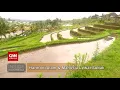 Download Lagu Harmoni Alam dan Manusia Lewat Subak