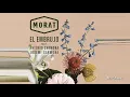 Download Lagu Morat - El Embrujo ft. Antonio Carmona, Josemi Carmona (Audio)