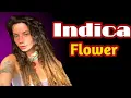Indica Flower Biography Lifestyle Career Positive Journey Who Is Indica Flower