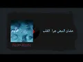 Cairokee - Matwhashneesh كايروكي - متوحشنيش | Statu