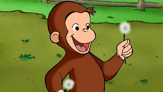 George Semeia Novas Flores do Campo 🐵 George, o Curioso 🐵 Desenhos Animados