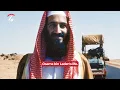 What did Osama Bin Laden do before and after 9/11? | History 101