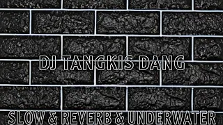 Download DJ TANGKIS DANG - VERSI SLOW \u0026 REVERB \u0026 UNDERWATER MP3