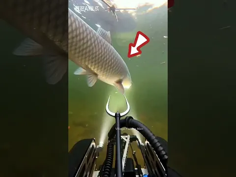 Amazing Fishing Tools item... ππ #fishing #trending #shortvideo