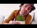 Bittersweet  - Lianne La Havas (cover Sam Lorenzini feat Desiree Diouf )
