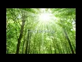 Download Lagu More than words Can say By:Alias