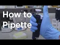 How to Micropipette miniPCR bio