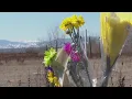 Loved ones remember teens killed in Commerce City crash