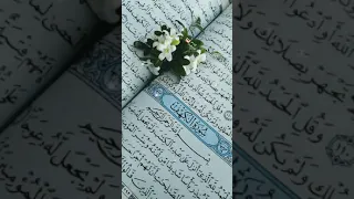 اجمل حالات واتس اب دينيه يوم الجمعه مقاطع مقاطع انستغرام دينيه مقاطع دينيه قصيره  اجمل حالات واتس اب دينيه يوم الجمعه مقاطع مقاطع انستغرام دينيه مقاطع دينيه قصيره