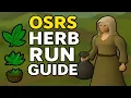 OSRS Updated Herb Run Guide