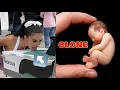 Cloning a Model in a DNA Laboratory FULL