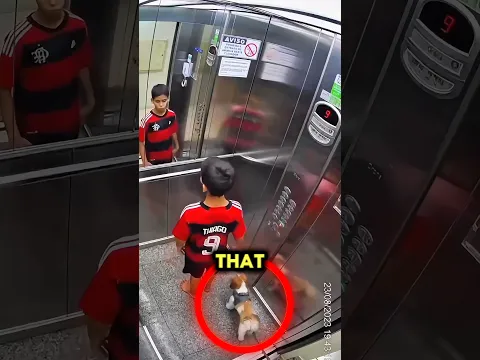Boy Saves Dog From Elevator Just in Time! 😱🐶 | #shortsvideo