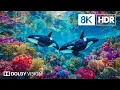 Download Lagu Mesmerizing Marine Creatures in 8K HDR | Dolby Vision™