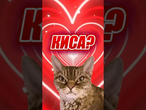 КИСА???