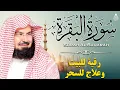 Download Lagu سورة البقرة (كاملة) للشيخ عبد الرحمن السديس لحفظ وتحصين المنزل وجلب البركة تلاوة رائعة Sourah Baqara