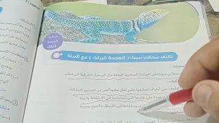 صف رابع ابتدائي الترم الاول علوم سحالي سيناء العجمة الزرقاء 