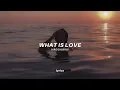 Download Lagu Haddaway - What Is Love (Lyrics) Mike O'hearn Meme | \