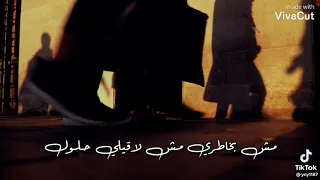 مش بخاطري مش لاقيلي حلول  غصب عني عيوني عودتني اقول اقول   دندنها